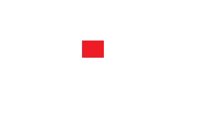 NFK Next Business Consulta